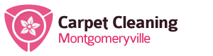 carpetcleaningmontgomeryville.com